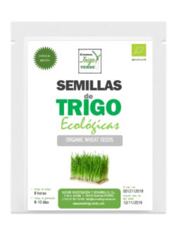 SEMILLAS DE TRIGO ECOLÓGICO PARA GERMINAR