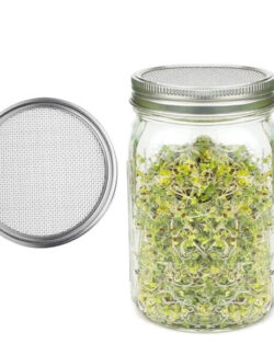 TARRO DE CRISTAL PARA GERMINADOS TAPA INOXIDABLE