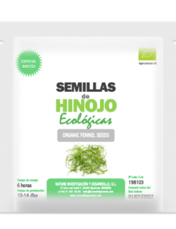SEMILLAS DE HINOJO ECOLOGICAS PARA GERMINAR