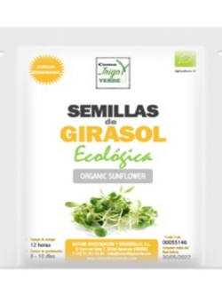 SEMILLAS DE GIRASOL ECOLOGICAS PARA GERMINAR