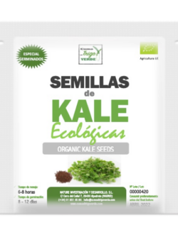 SEMILLAS DE KALE ECOLOGICAS PARA GERMINAR