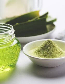 ALOE VERDE ECOLÓGICO